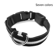 Pet Collar – LED Luminous Night Safety Glow