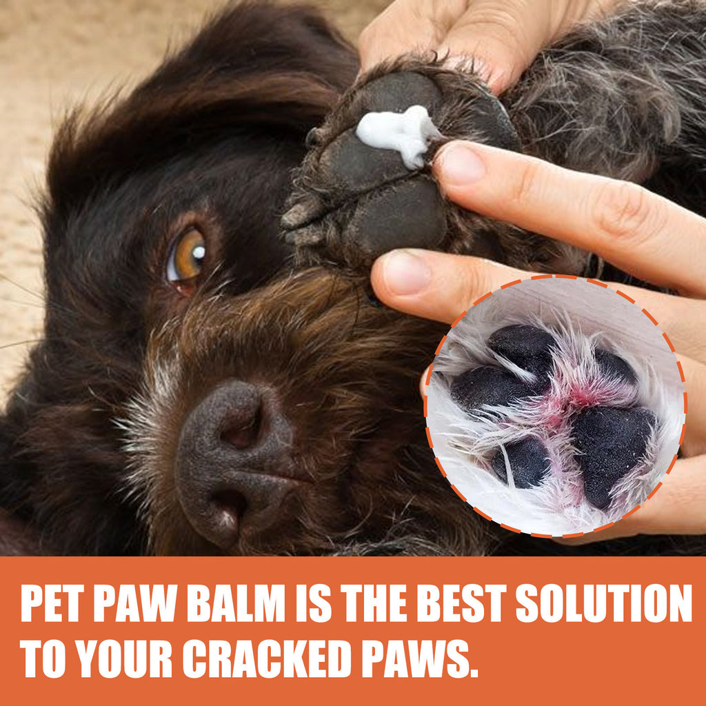 Pet Foot Balm – Paws Care & Protection