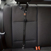 Dog Leash-Pet Leash