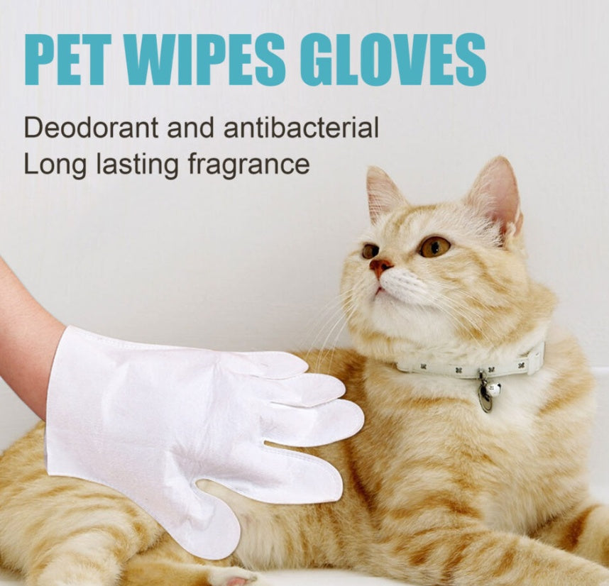 Pet Wipes, Cleaning Wipes, Feline Leave-In Non-Woven Gloves Leave-In - Set Of 6
