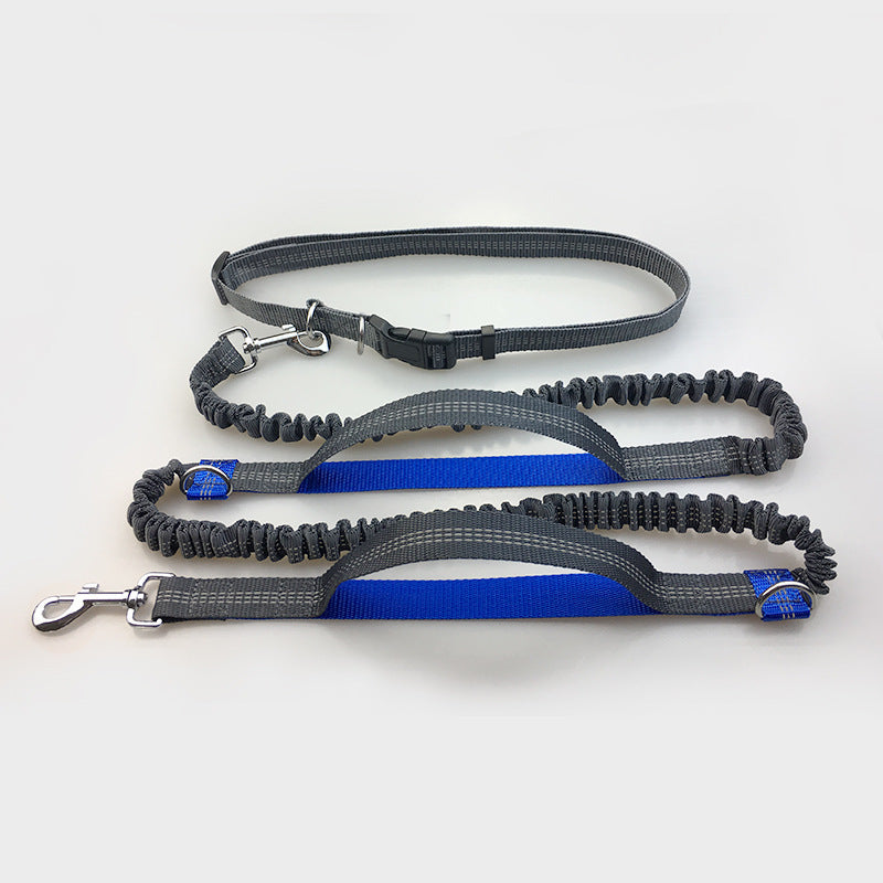 ChatGPT said: Dog Leash – Multifunctional Reflective & Elastic