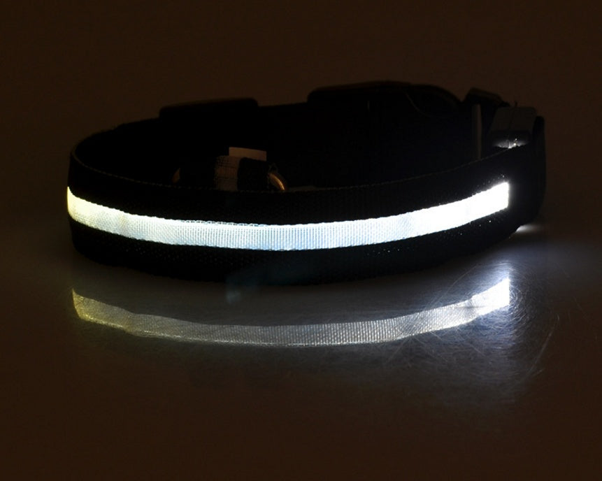 Pet Collar – LED Luminous Night Safety Glow