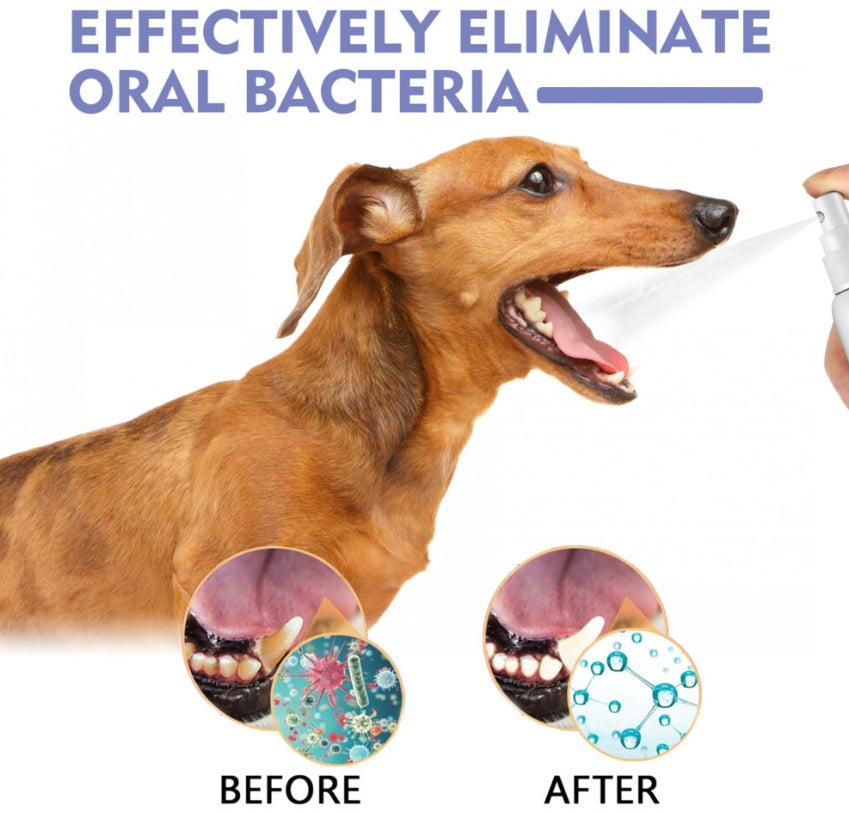 Dental Cleaning Spray For Cats And Dogs, Stain Removal, Fresh Breath Pet Oral Care Spray