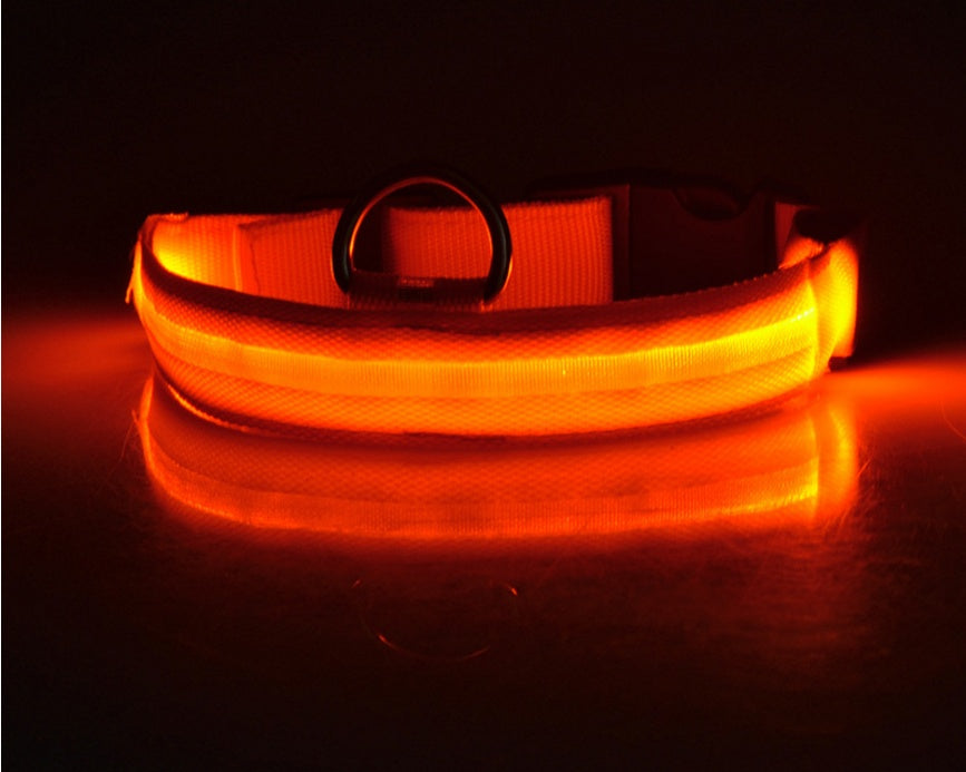 Pet Collar – LED Luminous Night Safety Glow