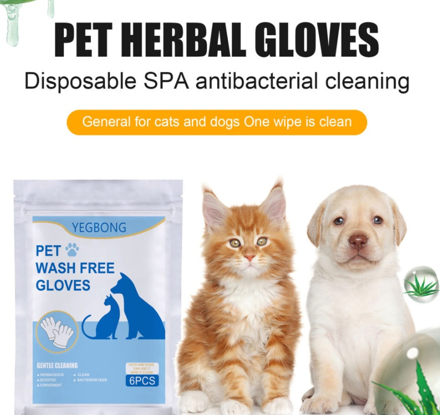 Pet Wipes, Cleaning Wipes, Feline Leave-In Non-Woven Gloves Leave-In - Set Of 6