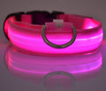 Pet Collar – LED Luminous Night Safety Glow