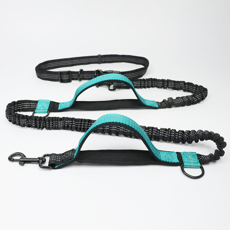 ChatGPT said: Dog Leash – Multifunctional Reflective & Elastic