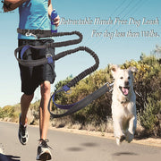 ChatGPT said: Dog Leash – Multifunctional Reflective & Elastic