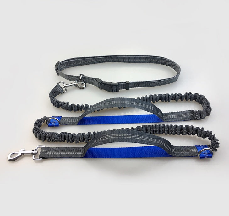 ChatGPT said: Dog Leash – Multifunctional Reflective & Elastic