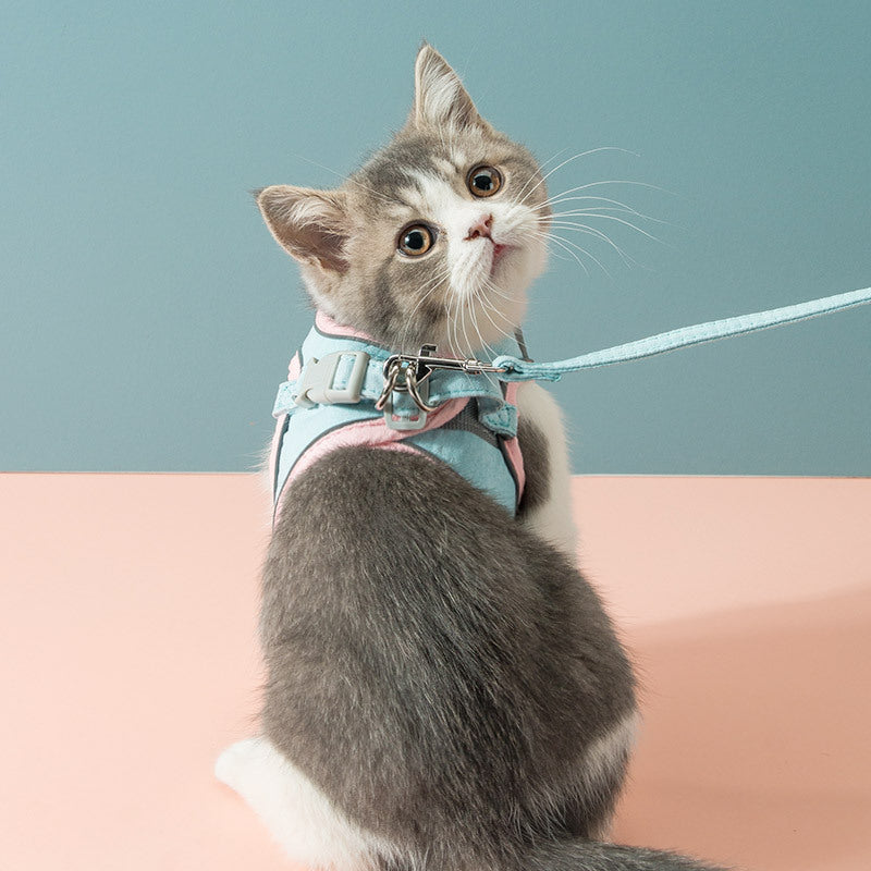 Cat Harness – Escape-Proof Chest Strap