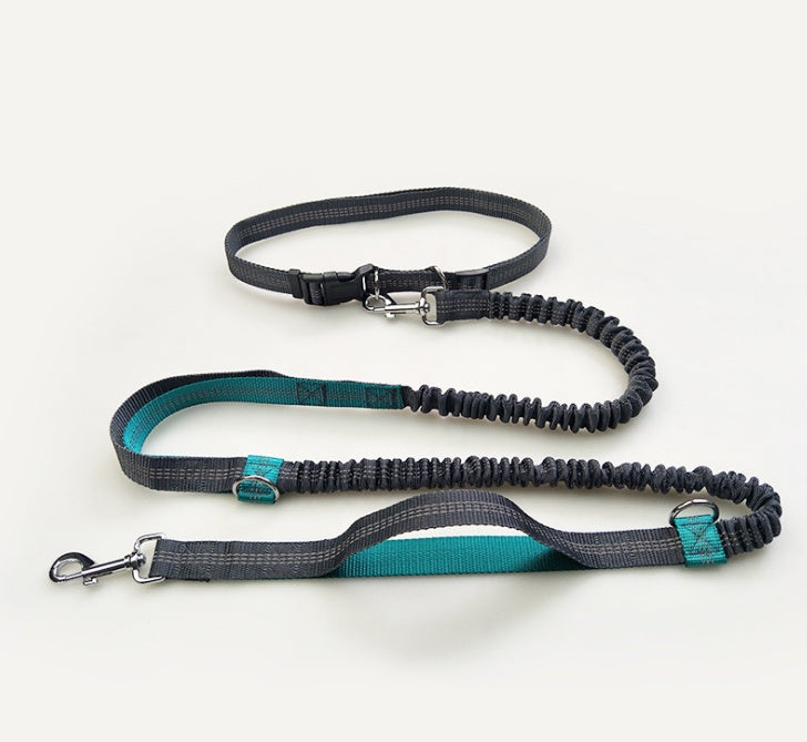 ChatGPT said: Dog Leash – Multifunctional Reflective & Elastic