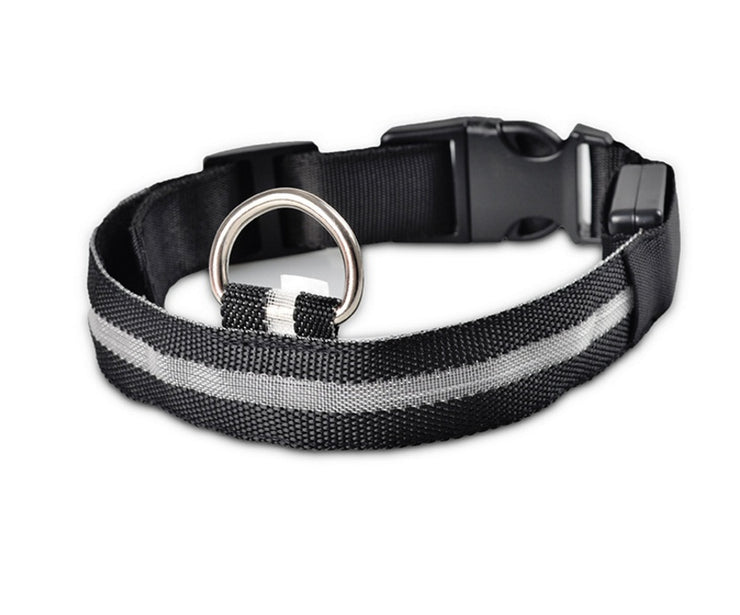 Pet Collar – LED Luminous Night Safety Glow