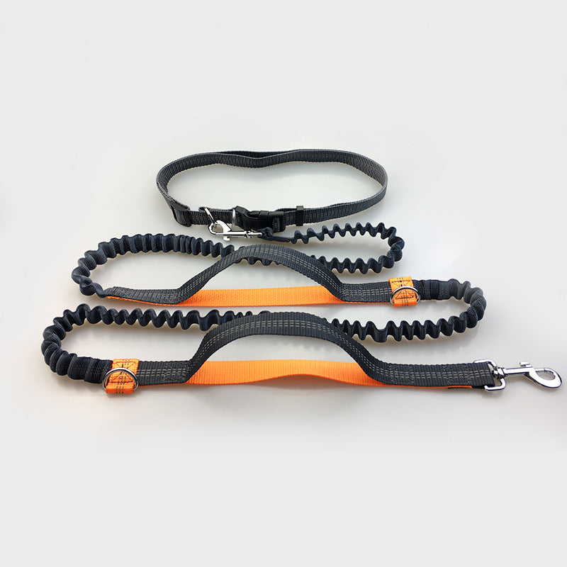 ChatGPT said: Dog Leash – Multifunctional Reflective & Elastic