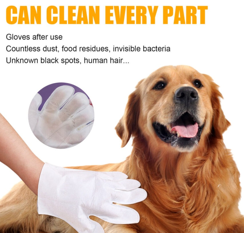 Pet Wipes, Cleaning Wipes, Feline Leave-In Non-Woven Gloves Leave-In - Set Of 6