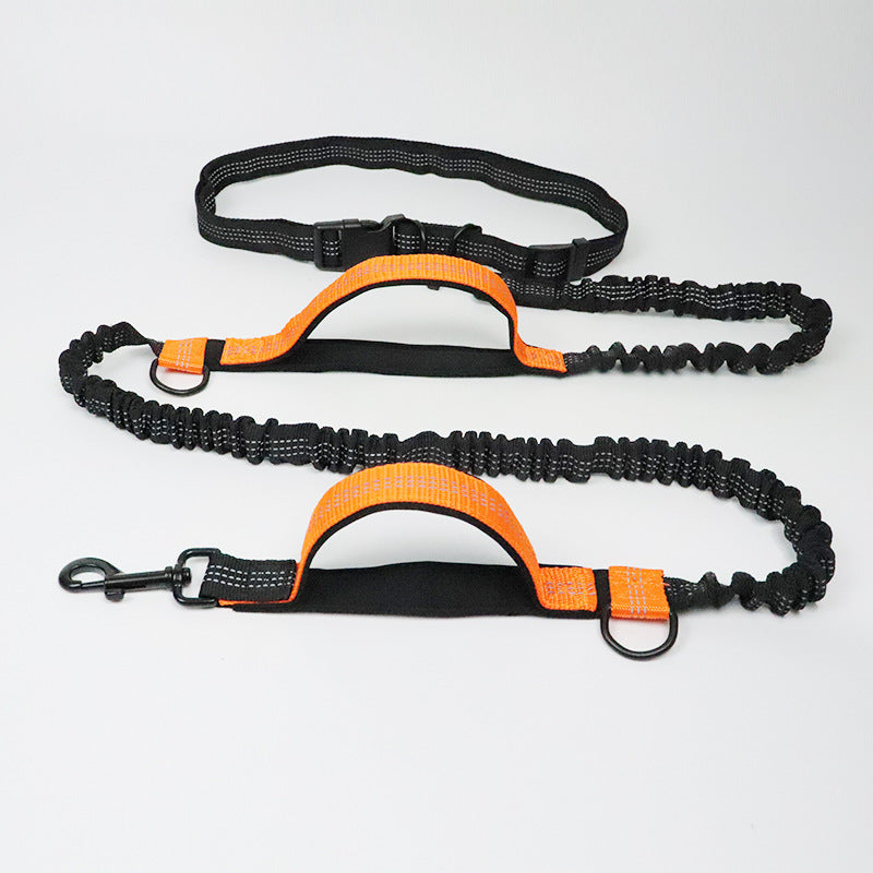 ChatGPT said: Dog Leash – Multifunctional Reflective & Elastic