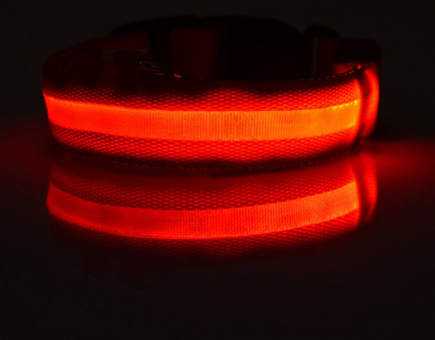 Pet Collar – LED Luminous Night Safety Glow