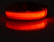 Pet Collar – LED Luminous Night Safety Glow