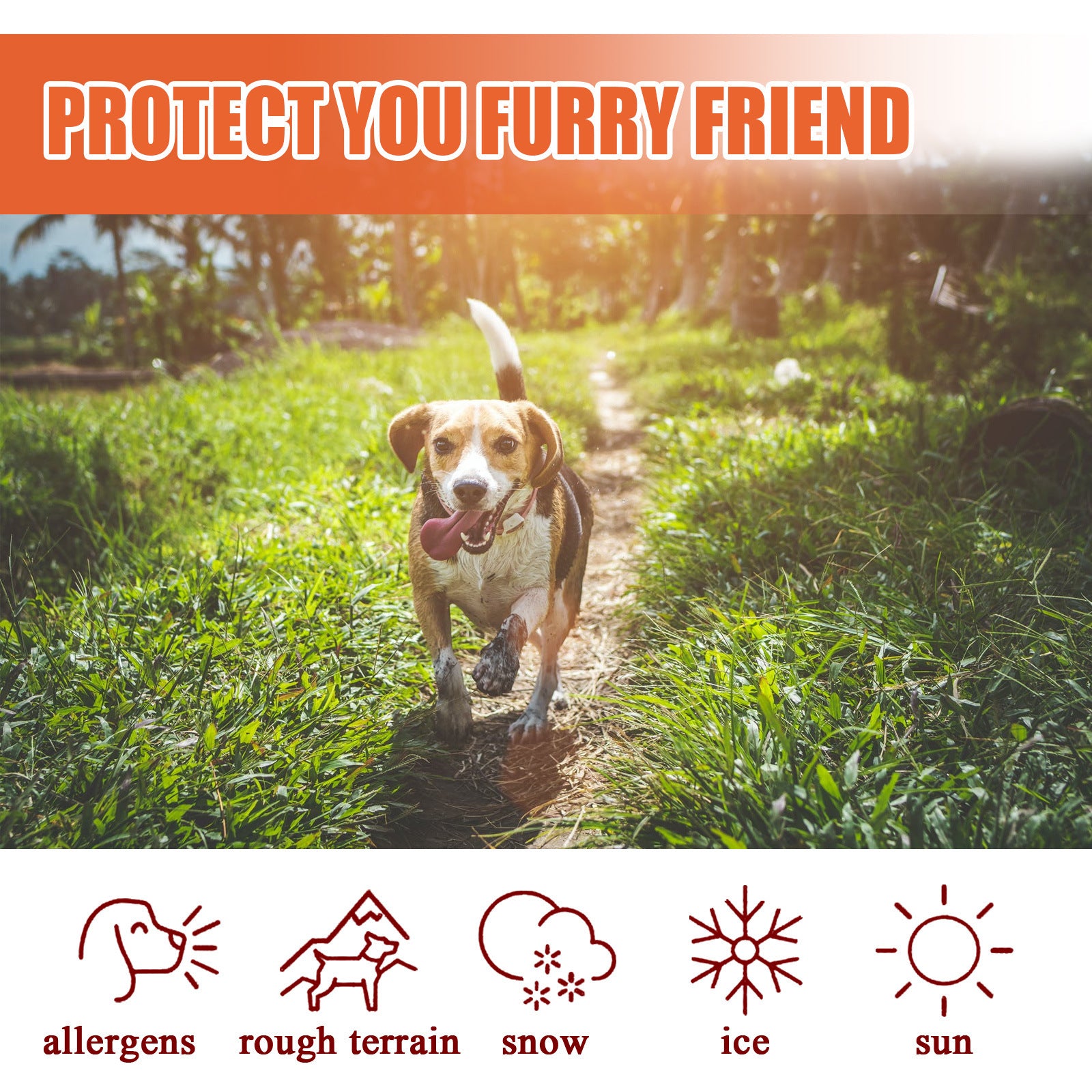 Pet Foot Balm – Paws Care & Protection