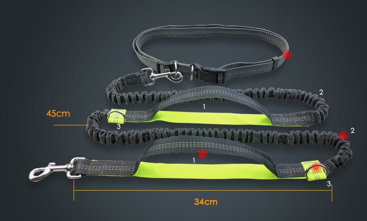ChatGPT said: Dog Leash – Multifunctional Reflective & Elastic