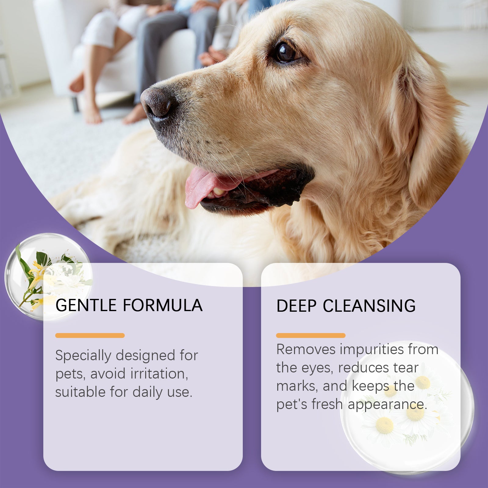 Gentle Pet Eyewash Gently Cleans The Eye Dirt Of Pet Cats And Dogs
