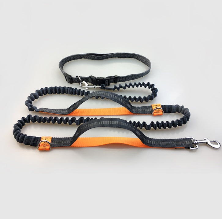 ChatGPT said: Dog Leash – Multifunctional Reflective & Elastic