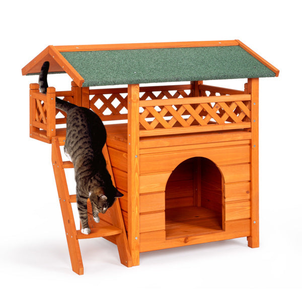 2-layer Fence, Green Asphalt Roof, Cat House