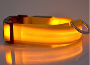 Pet Collar – LED Luminous Night Safety Glow