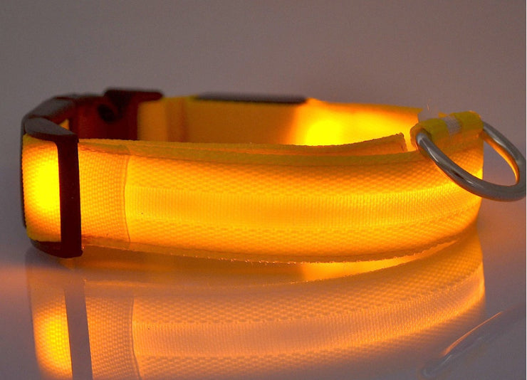 Pet Collar – LED Luminous Night Safety Glow