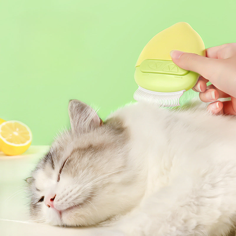 Double-Headed Pet Comb – Hair Removal Brush