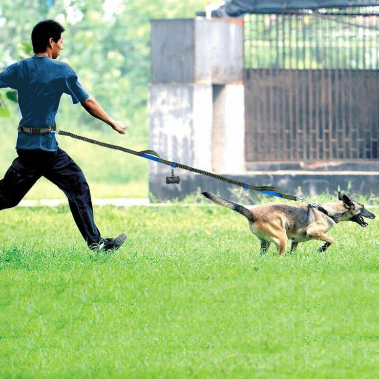 ChatGPT said: Dog Leash – Multifunctional Reflective & Elastic