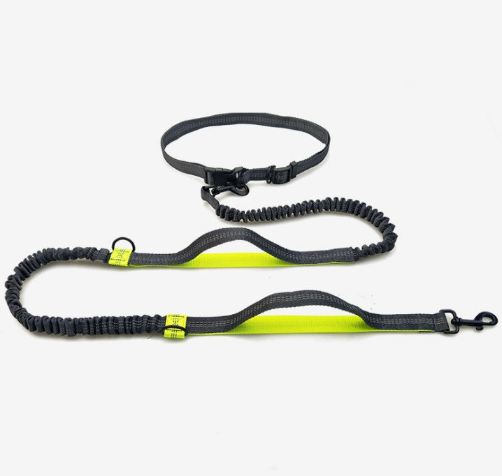 ChatGPT said: Dog Leash – Multifunctional Reflective & Elastic