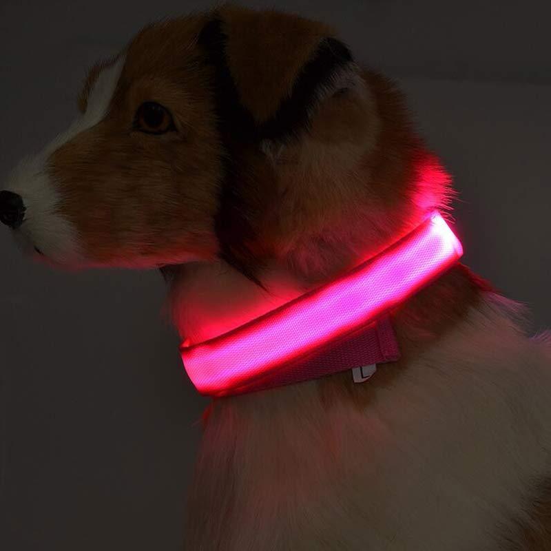 Pet Collar – LED Luminous Night Safety Glow