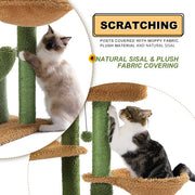 Cat Climbing Frame