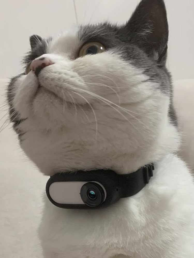 Pet Collar Camera – Wireless Recorder
