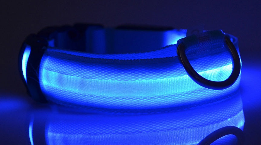 Pet Collar – LED Luminous Night Safety Glow