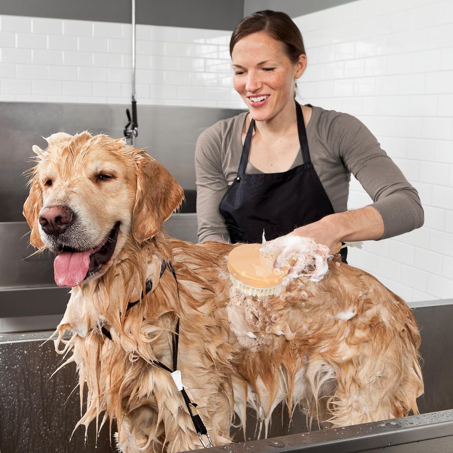 Pet Shampoo Brush With Massage Points Wooden Handle, And Natural Bristles For Dog And Cat Grooming