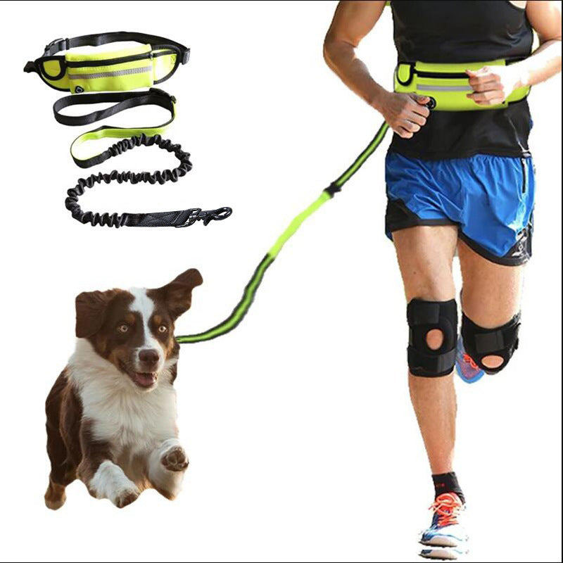 Dog Leash – Hands-Free Bungee with Storage