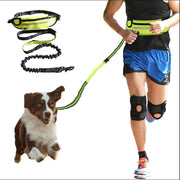 Dog Leash – Hands-Free Bungee with Storage