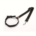 Dog Leash-Pet Leash