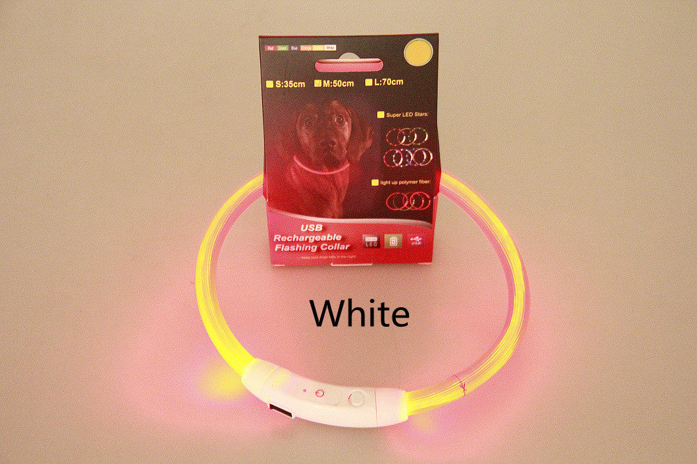 Pet Collar – USB Rechargeable Glow Necklace
