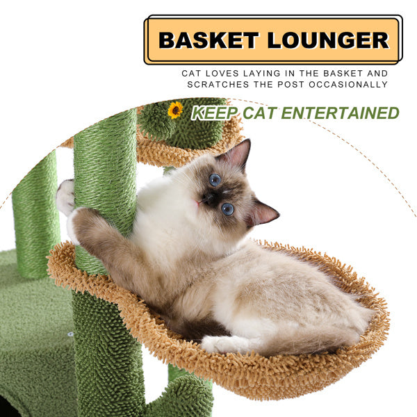 Cat Climbing Frame