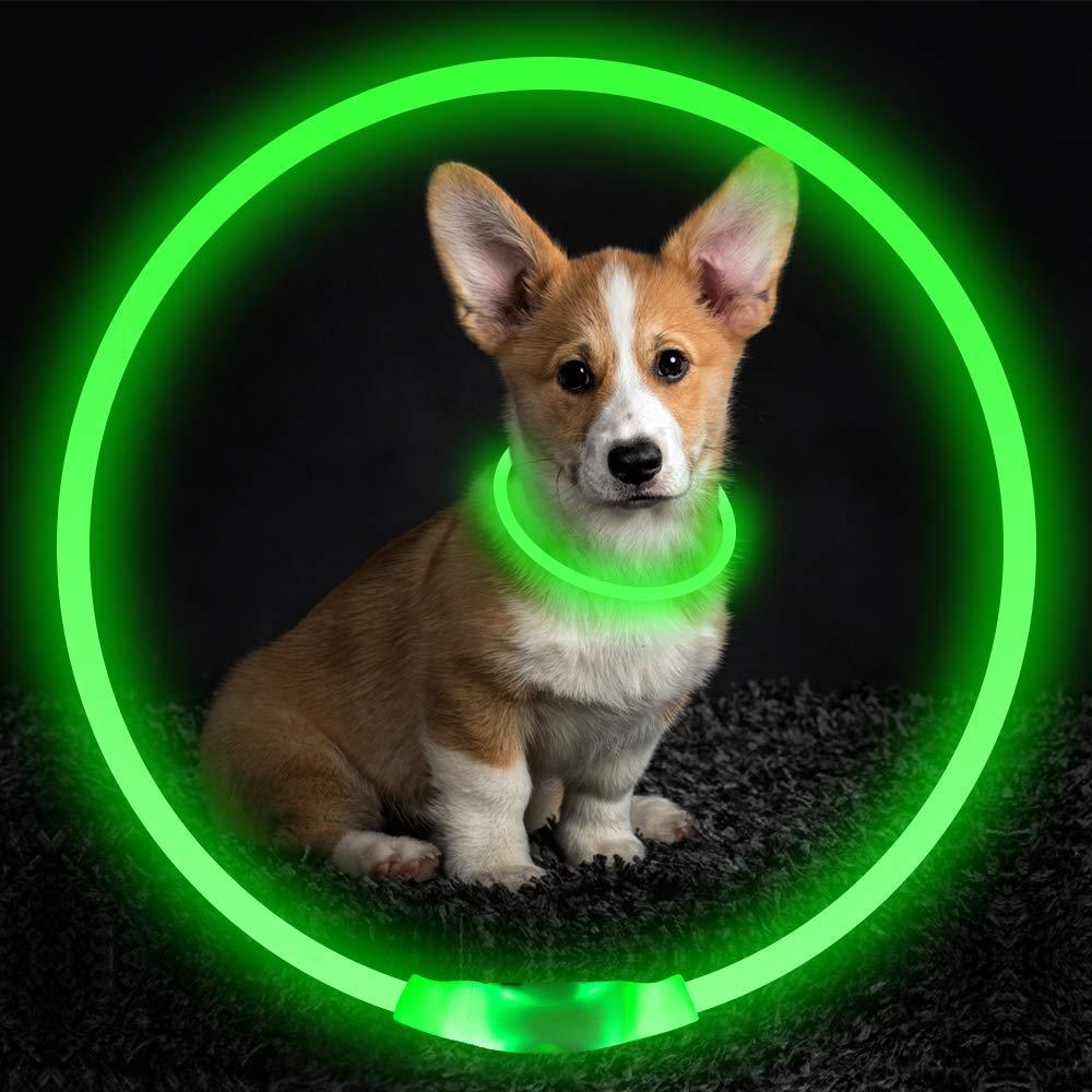 Pet Collar – USB Rechargeable Glow Necklace