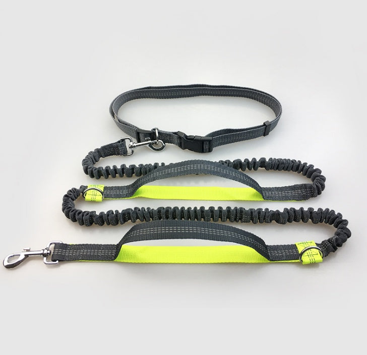 ChatGPT said: Dog Leash – Multifunctional Reflective & Elastic
