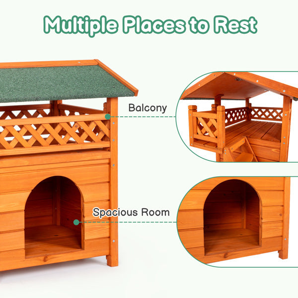 2-layer Fence, Green Asphalt Roof, Cat House
