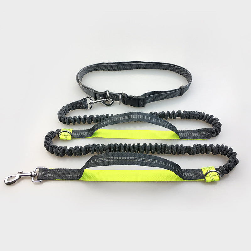 ChatGPT said: Dog Leash – Multifunctional Reflective & Elastic