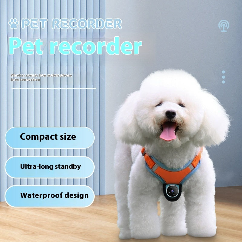 Pet Collar – Recorder & Motion Camera