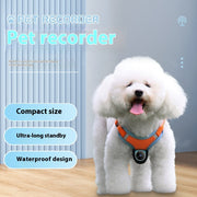 Pet Collar – Recorder & Motion Camera