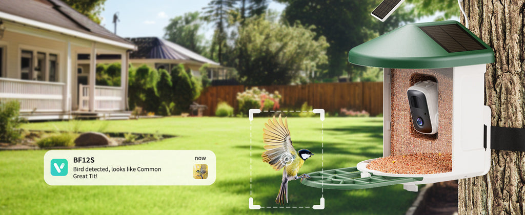 Smart Feeder Surveillance Wireless Camera
