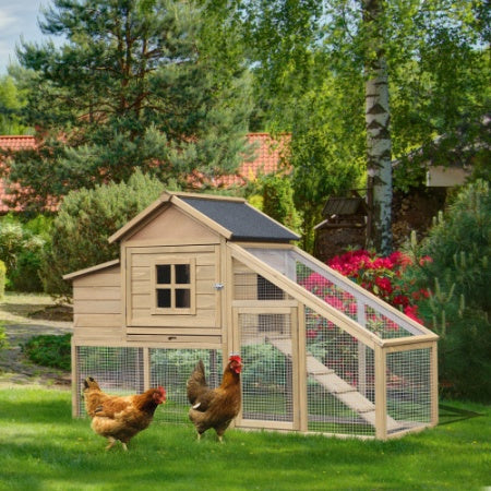 Wooden Chicken Coop with Nesting Box & Ramp