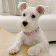 Dog Collar – Bling Rhinestone Crystal Leash